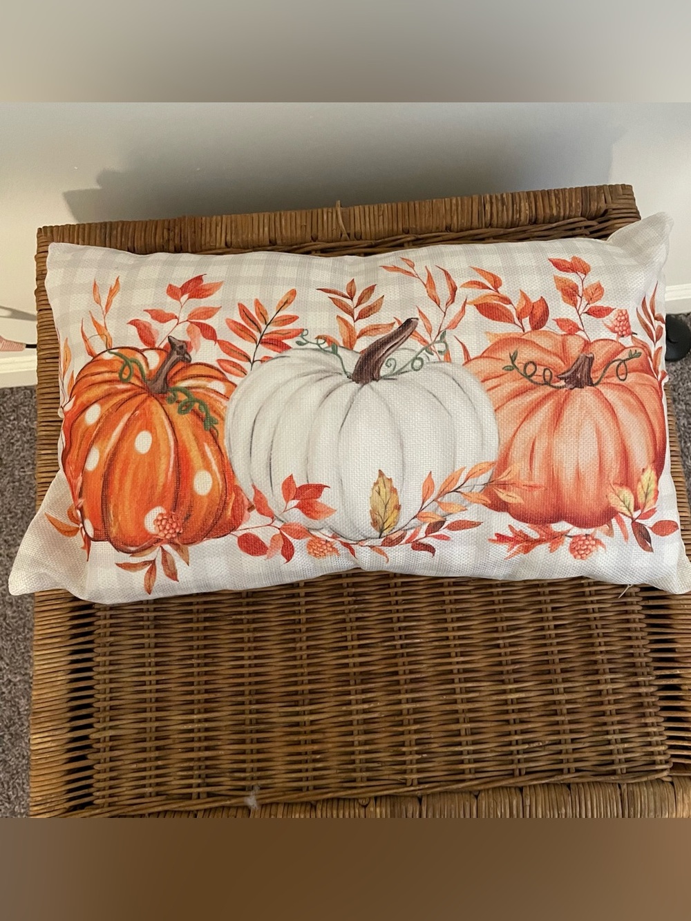 Buffalo Plaid Pumpkin Fall/Autumn/Thanksgiving Throw Pillow Cover and Pillow